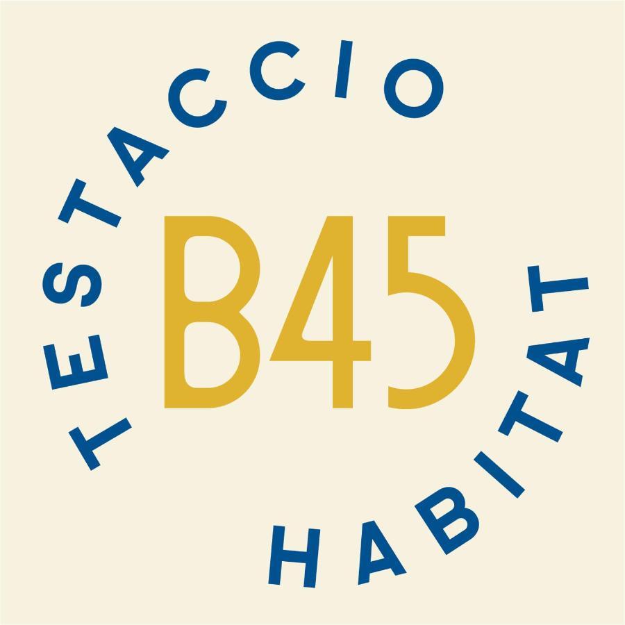 Testaccio B45 Full Guesthouse ローマ エクステリア 写真